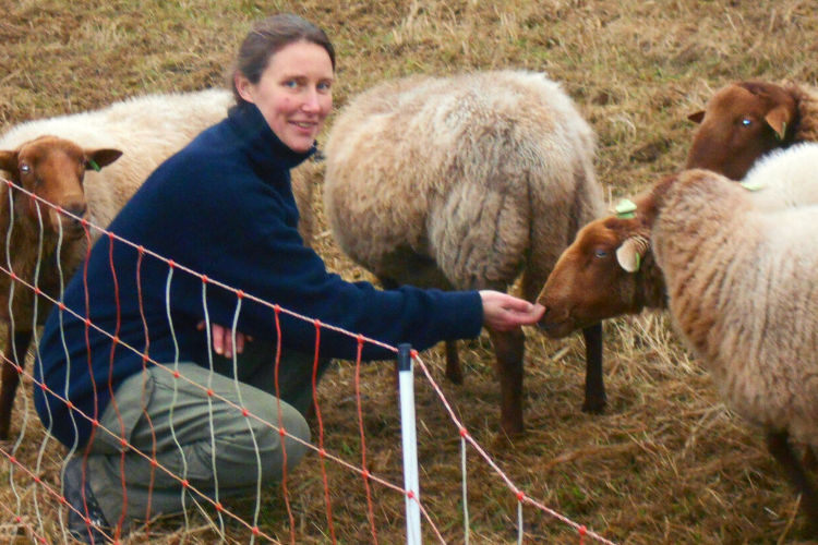 Jody Busch en haar schapen
